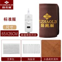 标准版[单只]普通开关 海盐袋+2艾草包 电加热护膝盐袋粗盐海盐热敷包老寒腿膝盖关节热敷袋艾灸理疗盐包