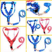狗狗牵引绳小型犬狗绳子大中小型犬项圈遛狗绳宠物狗胸背带拴狗绳 狗狗牵引绳小型犬狗绳子大中小型犬项圈遛狗绳宠物狗胸背带拴狗