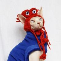 橘红红色眼睛帽 小帽子 手工编织可爱搞怪露耳朵眼睛帽子头饰假发套无毛猫 DAPAN宠物拍照