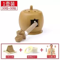 1艾灸壶[经典款] 30粒艾柱+30个海绵帖[含穴位图] 艾灸盒随身灸艾灸仪器家用多功能艾熏盒宫寒贴艾灸宝全身艾柱神器