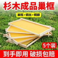 成品中蜂巢础(5个装) 国标48.8X23.5cm 带框巢础成品蜜蜂框架中蜂蜂箱杉木巢框蜂蜡巢脾全套蜂具养蜂工具