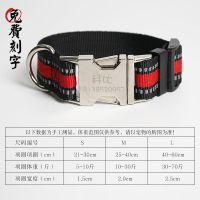 红色金属扣项圈 小号建议5-10斤 狗狗项圈脖圈刻字防丢吊牌宠物牵引绳中大型犬泰迪金毛哈士奇用品