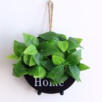 黑圆和两支把束精灵绿萝 客厅卧室墙面房间简约装饰品墙壁饰墙上创意绿植挂饰挂件墙饰壁挂