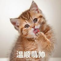 3斤双拼粮+10根火腿肠 狸花猫中华田园猫粮成猫幼猫通用型深海鱼宠物天然粮猫主粮