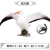 M-825信天翁 仿真静态动物模型实心鸟类模型信天翁儿童塑胶玩具摆件