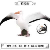 M-825信天翁 仿真静态动物模型实心鸟类模型信天翁儿童塑胶玩具摆件