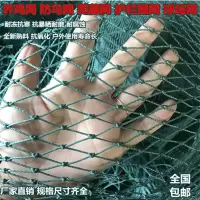 6股网眼2.5厘米 1米宽X10米长 家禽养殖网山鸡网养鸡网尼龙网拦鸡围网防鸟网护栏网球场网爬藤网