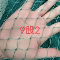 9股2厘米防鸟网(耐用10年) 1米高10米长(送绳子) 加粗养鸡网拦鸡网养殖网天网塑料网防护网菜园围栏网尼龙网防鸟网