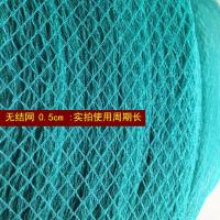 无结网0.5cm 网孔 自选尺寸联系客服 养鸡网家禽养殖网拦鸡鸭网防鸟网爬藤网菜园围网果园网护栏网天网