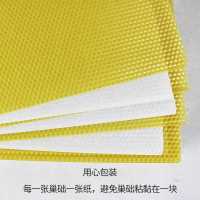 优质中蜂巢础十片体验装 中蜂巢础蜂巢蜂具蜂箱蜂蜡巢蜜蜂蜂箱蜂脾蜜蜂巢础蜡片八千巢础