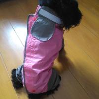 藕色 12号全包(建议5-7斤) 狗狗雨衣四脚防水中型犬宠物金毛大型犬小狗雨披连体大狗萨摩泰迪