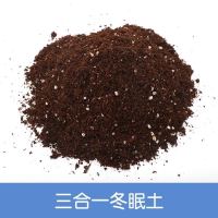 200克无菌三合一冬眠土 乌龟冬眠用品龟过冬椰土苔藓垫材乌龟冬眠箱乌龟冬眠套装冬眠盒