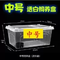 中号白色(送饲养盒) 黄粉虫养殖设备大麦虫饲养盒面包虫养殖饲养盒 塑料蜘蛛饲养箱盒