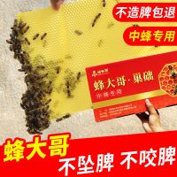 [41.5*19.5Cm]蜂大哥巢础 10片装(试用装) 中蜂巢础蜂大哥蜜蜂巢础蜂箱全套专用养蜂工具蜂蜡深房巢基巢础片