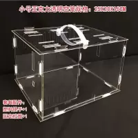 小号空笼:25X20X15 仓鼠隔离笼子金丝熊豚鼠隔离笼子亚克力透明隔离笼子用品