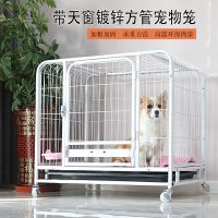 纯净白--送轮子托盘 长54宽34高50(小兔) 狗笼家用泰迪柯基小型犬中大型犬室内带厕所宠物狗笼子特价方管笼