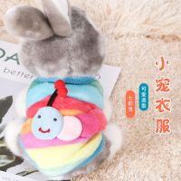 七彩虫款(6号)1-2斤 兔子衣服秋冬宠物兔兔荷兰猪服饰小兔子穿的垂耳兔侏儒兔保暖用品