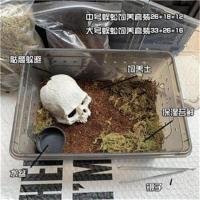 中号蜈蚣饲养套装 蜈蚣饲养套装蜈蚣饲养盒简约套餐适用爬宠套装蜘蛛蝎子