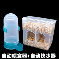 双孔自动食盒+800毫升饮水器 鸽子用品用具鸽子食槽信鸽自动喂食器元宝赛鸽笼子悬挂食盒鸽粮盒