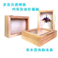 18.9*13.5*4.8CM(长宽高) 甲虫独角仙实木昆虫标本盒植物标本矿石岩石蝴蝶标本盒标本展示盒