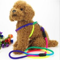 小号:背带调节25-35cm_ 狗狗牵引绳胸背带狗链狗绳大中小型犬遛狗宠物用品