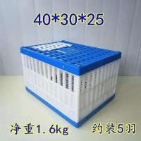 熟料超大承重40*30*25小号 鸽子用品用具塑料放飞笼信鸽训放笼赛鸽报道笼集鸽笼训鸽笼鸽子笼
