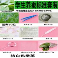 学生标准养蚕 蚕卵50粒套装 蚕宝宝卵小蚕桑叶春蚕虫卵套装七彩金丝天然彩色蚕卵学生儿童养蝉