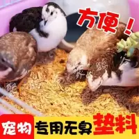 2斤成品 芦丁鸡发酵床菌种成品养鸡仓鼠柯尔鸭养兔子鸡粪床笼分解粪便垫料