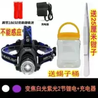 变焦白光紫光+2锂电+直冲 捕蝎灯超亮强光头灯蝎子灯紫光抓捉逮捕蝎照蝎子灯头戴式专用充电