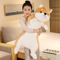 柴犬圆眼 60厘米 可爱柴犬公仔毛绒玩具大号哈士奇玩偶娃娃床上睡觉抱枕女生日礼物