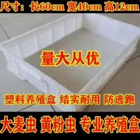 塑料养殖盒(面包虫大麦虫) 木材质 面包虫 黄粉虫大麦虫 蛋白虫 浅盘长方形 养殖盒 产卵筛