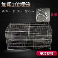 2位裸笼 鸽子笼家用鸽棚 配对养殖鸽笼鸽舍鸽房肉鸽笼白鸽笼鸽子笼养殖笼