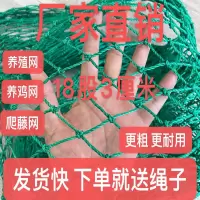 加粗18股3厘米网眼(质保10年) 1米高10米长(送绳子) 家禽养殖网养鸡网围栏网尼龙网户外防鸟网塑料围鸡网鱼塘防护天