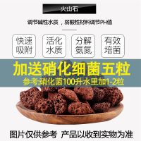 火山石1斤+5粒硝化细菌 鱼缸过滤材料细菌屋陶瓷环火山石珊瑚骨水族箱滤材鱼池净水过滤棉