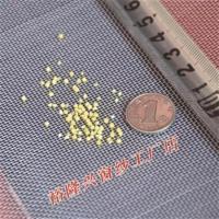 白色特厚(蝗虫养殖网) 1x1m 高密度蚂蚱网 蝗虫养殖网 大棚防虫网 尼龙 塑料纱窗纱网厂家直销