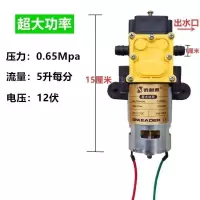 超大功率水泵 农用电动喷雾器高压水泵大功率12v高压智能型电动喷雾器电机水泵