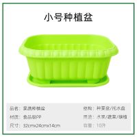 小绿盆一个 种菜盆神器家庭阳台塑料槽室内花盆小香葱生菜空心菜蔬菜种植套餐
