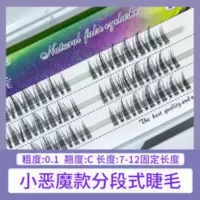 薇娅睫 分段式小恶魔假睫毛仙子毛自然仿真嫁接cos漫画眼单簇朵毛 分段式小恶魔假睫毛仙子毛自然仿真嫁接cos漫画眼单簇