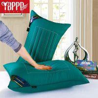 低枕[纯青]荞麦两用枕 (一只装)无枕套 荞麦枕头枕芯一对装送枕套可拆洗家用床上双人单人宿舍护颈保健枕