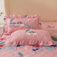 夏花之风 夹棉枕套一只[无枕芯] 花边枕套一对大号夹棉加厚枕套一只拉链式枕头皮一只成人枕头一对