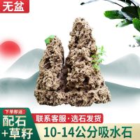10-14公分吸水石无盆送草种配石 吸水石假山盆景上水石原石鱼缸造景装饰摆件微景观水锈石桌面摆件