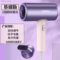 德系-粉紫-1300W- 6000万负离子 德系电吹风机家用大功率电吹风筒冷热风大风力蓝光负离子护发速干