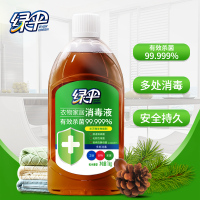 消毒液家用杀菌衣物除菌液2瓶 室内 地板宠物玩具 清洁消毒液