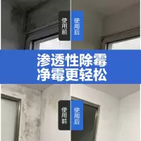 清洁剂墙体清除剂霉斑发霉家用霉点品种好立佳菌墙壁
