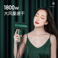 得力雅品牌A8白-800W 电吹风机家用负离子护发大功率小型冷热风筒宿舍用学生静音