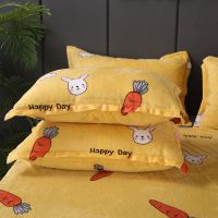 小兔萝卜[不含枕芯]整版布料裁剪 法兰绒枕套一只装[48*74cm] 珊瑚绒枕套枕芯套法兰绒48×74cm1只一对装法莱