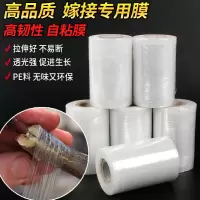 3cm*3卷 嫁接膜 树苗嫁接膜专用膜免拆树木果树嫁接专用膜嫁接胶带胶布神器缠绕膜