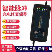 48V12AH通用T型*5年质保换新 自动断电电动车电瓶车充电器48V60V72V爱玛雅迪铅酸电池智能通用