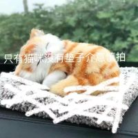 小橘猫+纳米活性炭 活性炭仿真狗车内饰品摆件可爱汽车装饰车载用品竹炭包除甲醛除味