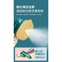 2021款便携式二合一挂烫机 干巴爹德国精工熨烫机多功能手持挂烫机家用小型蒸汽便携式熨斗